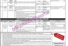 PPSC New Jobs 2025 via Latest Advertisement No 10/2025