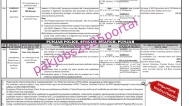 PPSC New Jobs 2025 via Latest Advertisement No 10/2025