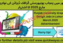 Punjab University Graphic Design Jobs In Lahore